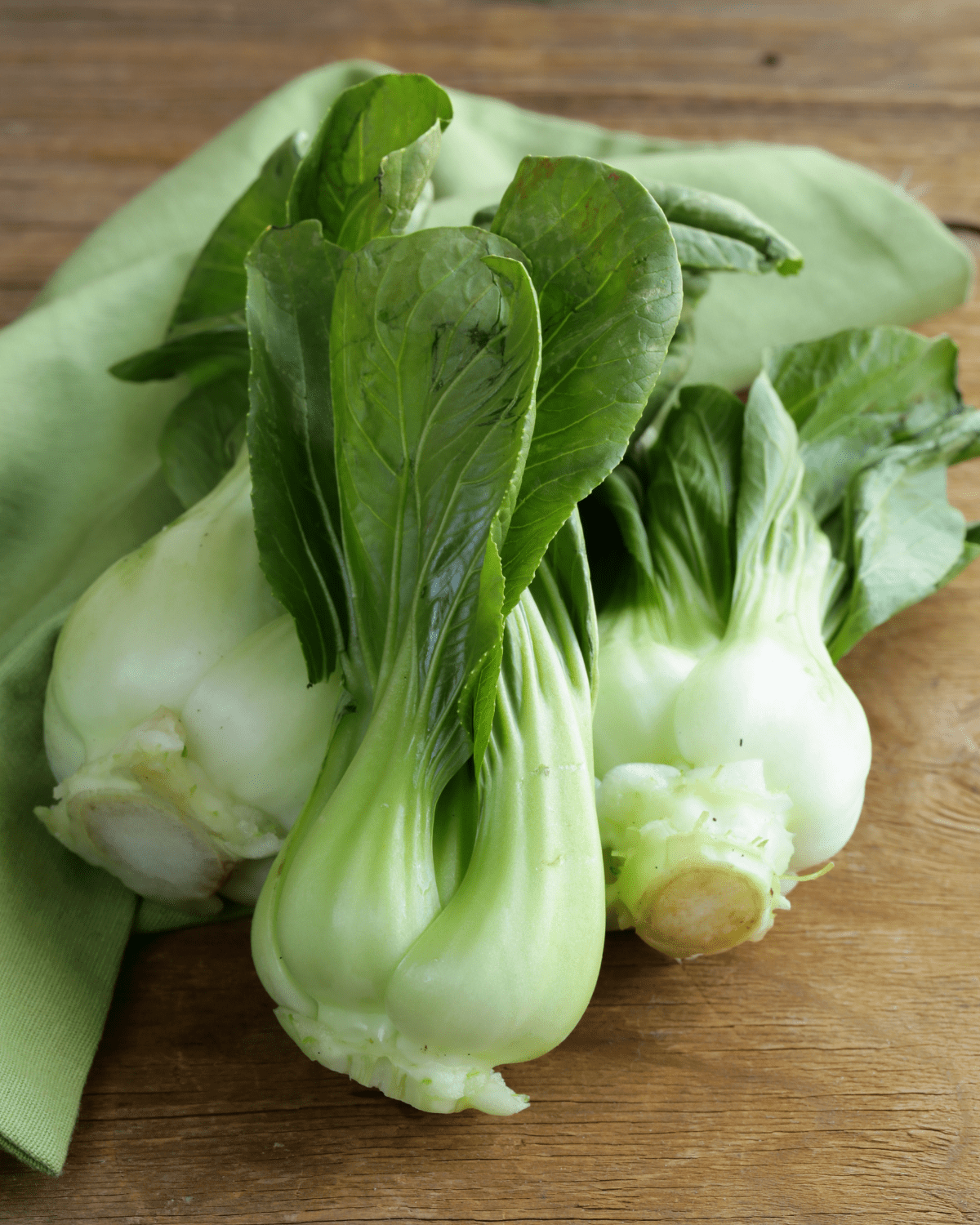 Three heads of bok choy pictured with a green napkin.