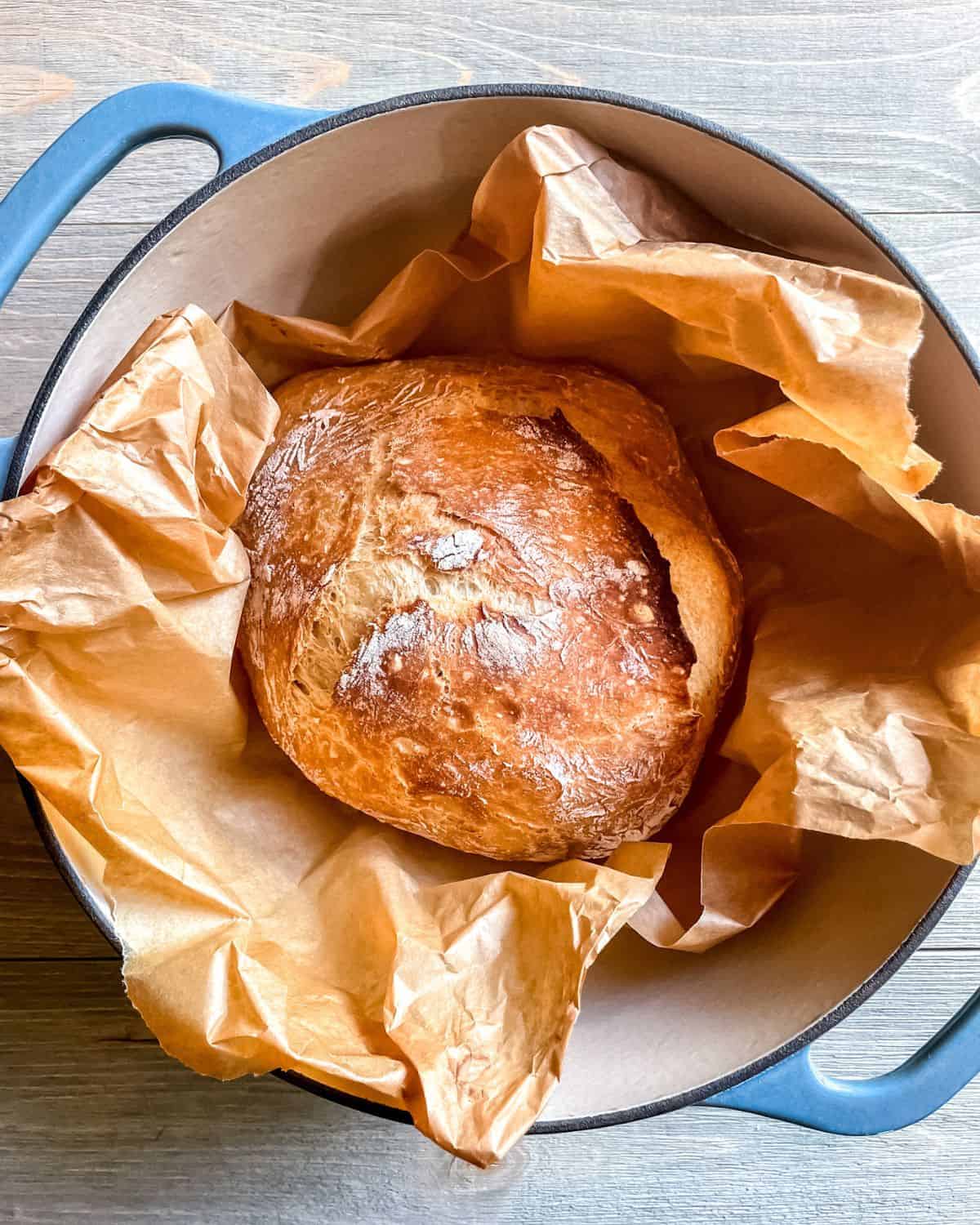 Cooked Dutch Oven Bread in parchment paper, in a blue Dutch Oven.