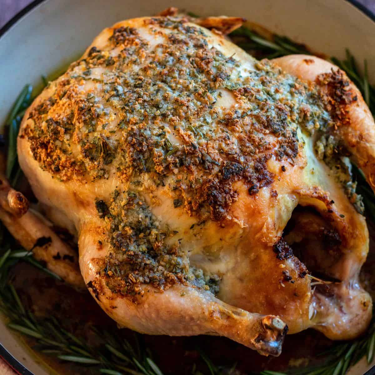 Roast chicken with garlic butter in a dish, surrounded by fresh rosemary.