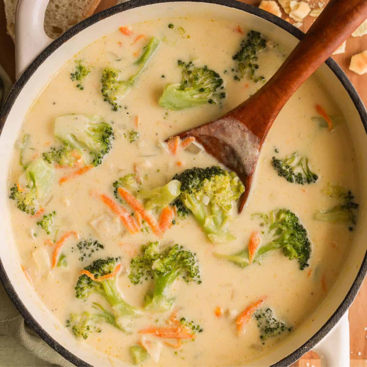 Chicken Broccoli Cheddar Soup 